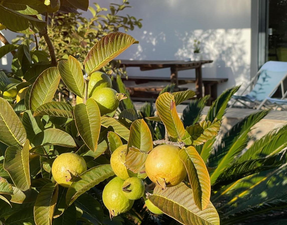 Herdade do Kuanza Formia Dış mekan fotoğraf