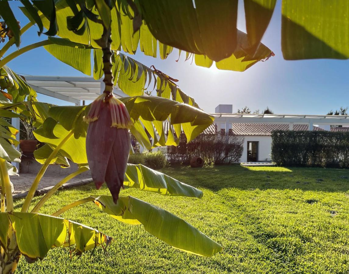 Herdade do Kuanza Formia Dış mekan fotoğraf
