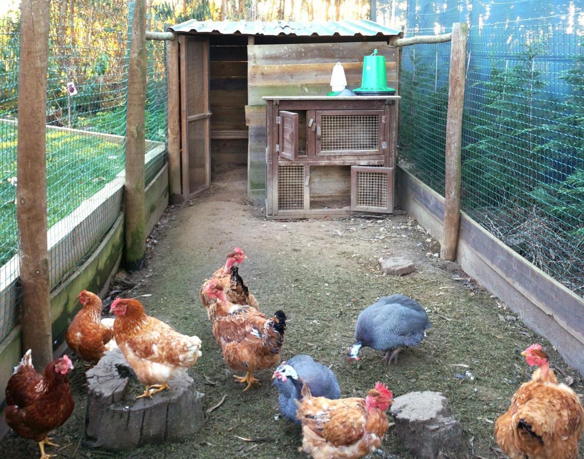 Herdade do Kuanza Formia Dış mekan fotoğraf