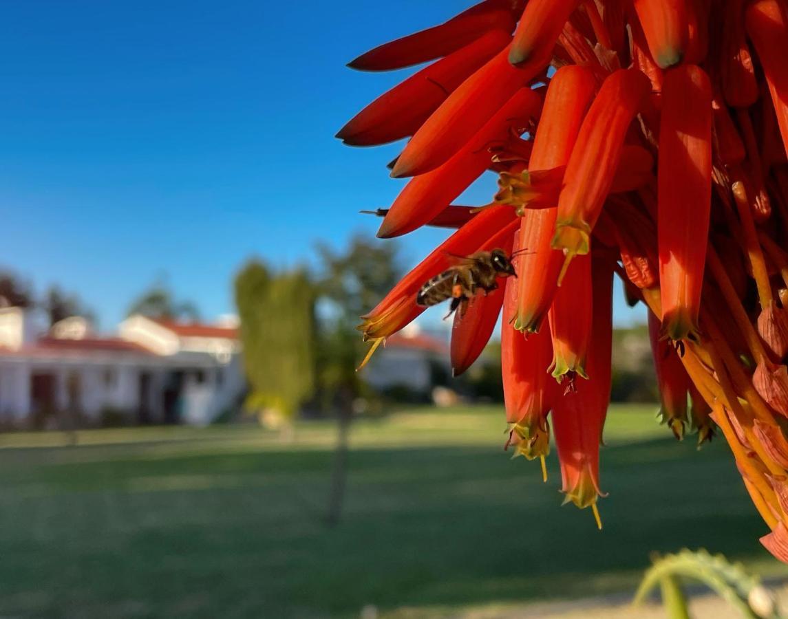 Herdade do Kuanza Formia Dış mekan fotoğraf